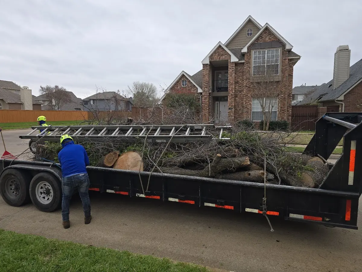 Expert Lot Clearing with proper safety equipment in San Luis